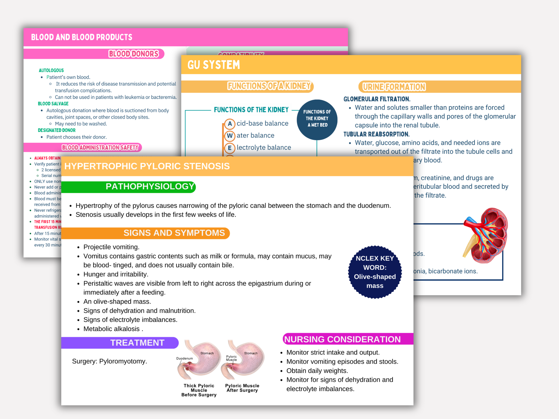 Educational posters on blood products, GU system, and hypertrophic pyloric stenosis on a white background.