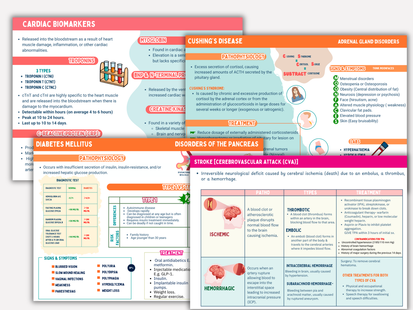 Educational posters on cardiology and endocrinology with colorful text and graphics.
