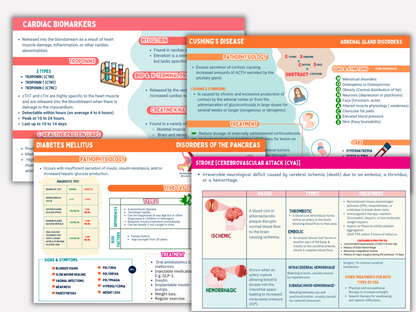 Educational posters on cardiology and endocrinology with colorful text and graphics.