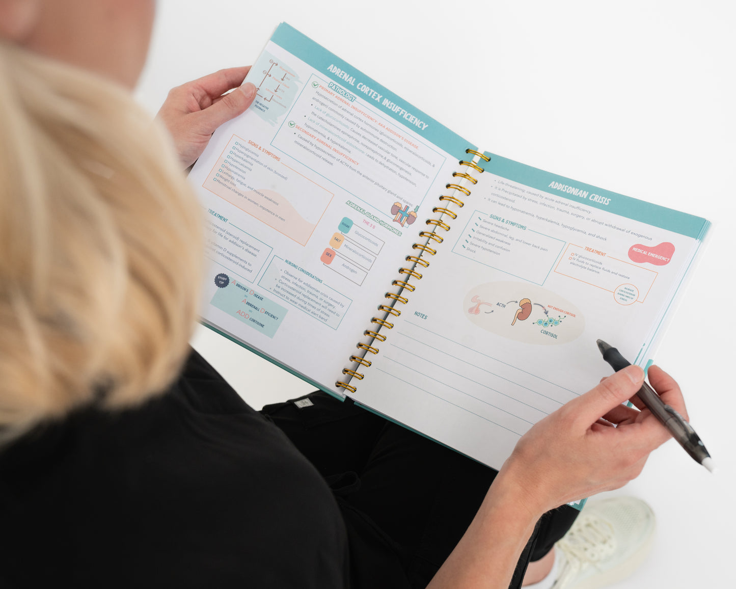 The Comprehensive Nursing Success Guide