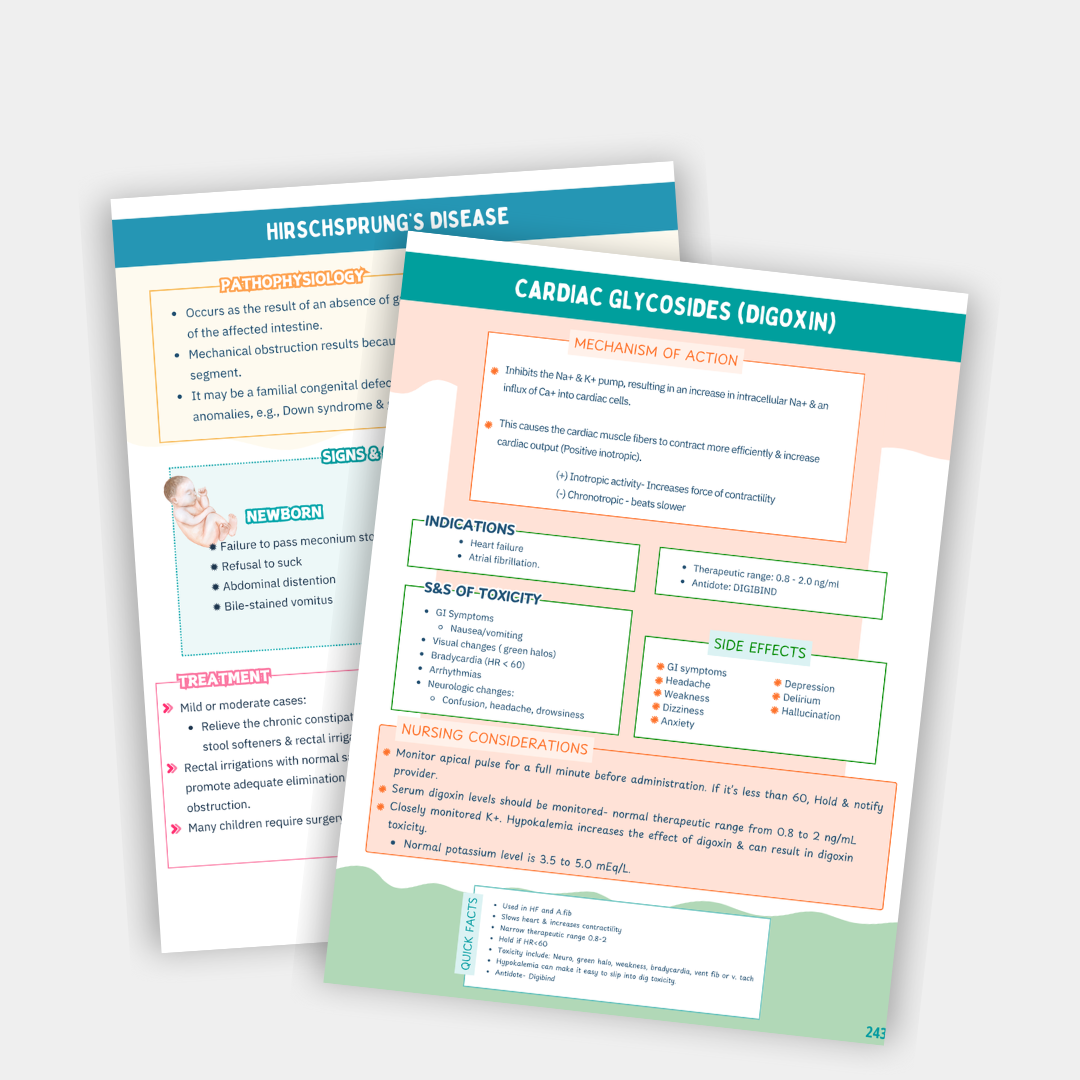 The Comprehensive Nursing Success Guide
