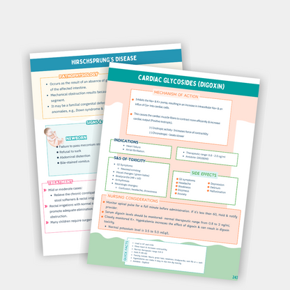 The Comprehensive Nursing Success Guide
